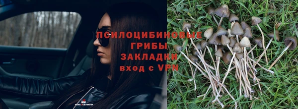 COCAINE Гусиноозёрск