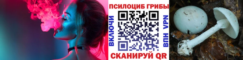 Купить где  Белая Калитва  Галлюциногенные грибы ЛСД 